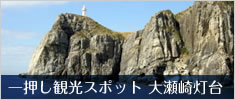 一押し観光スポット 大瀬崎灯台 一押し観光スポット 大瀬崎灯台